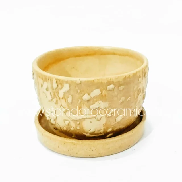 Ceramic Table Pots with plate SCI - 480 - H-3, W- 3.5 Inches, SCI - 480