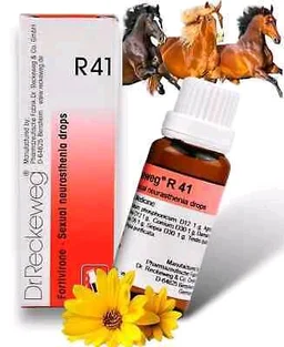 Dr. Reckeweg R41 Sexual Neurasthenia Drop - 22ml