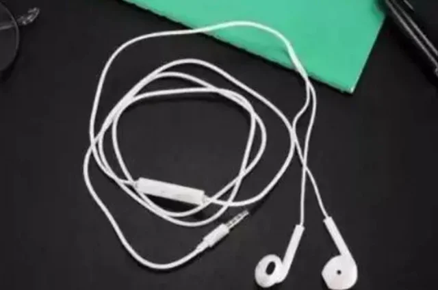 Wired in Ear Earphones with Mic