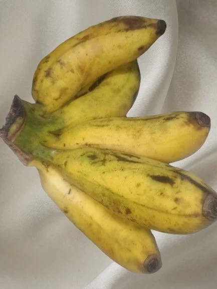 A single Sabri banana costs ₹15