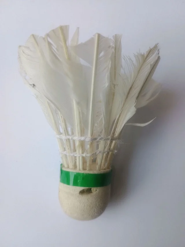 Accessories Roy Feather Shuttlecock for Badminton