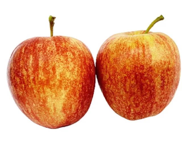 Accessories Roy Healthy Organic Apple Fruit