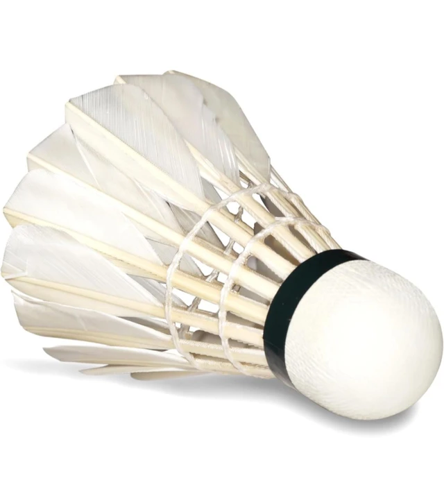 Accessories Roy Feather Shuttlecock Wincock, 1 Pack of 10 Pcs, Suitable for Indoor-Outdoor Practice and Training | Badminton Shuttlecocks