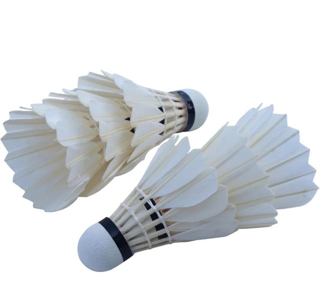 Accessories Roy Feather Shuttlecock Wincock, 1 Pack of 10 Pcs, Suitable for Indoor-Outdoor Practice and Training | Badminton Shuttlecocks