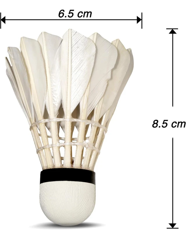 Accessories Roy Feather Shuttlecock Wincock, 1 Pack of 10 Pcs, Suitable for Indoor-Outdoor Practice and Training | Badminton Shuttlecocks