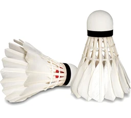 Accessories Roy Feather Shuttlecock Wincock, 1 Pack of 10 Pcs, Suitable for Indoor-Outdoor Practice and Training | Badminton Shuttlecocks