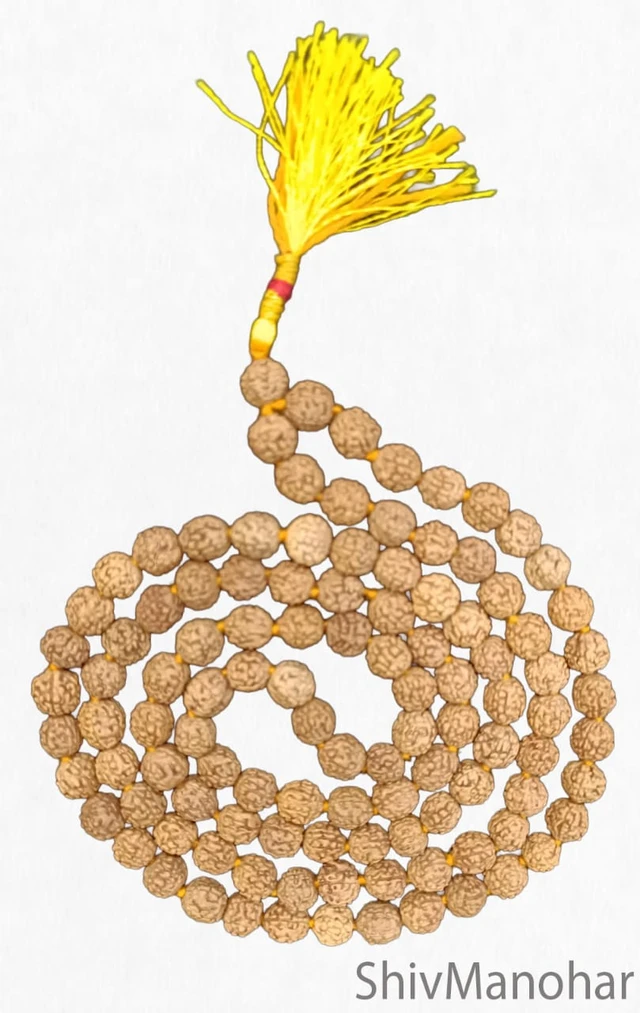 Rudraksha Mala / Rudraksha rosary (bead size 7mm-8mm)
