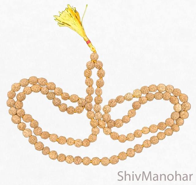 Rudraksha Mala / Rudraksha rosary (bead size 9mm-10mm)