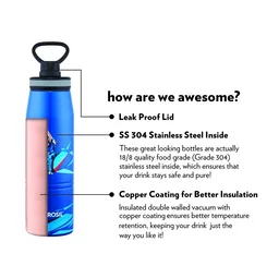 Borosil Gosport Cricket 900 ML Stainless Steel - Vacuum Insulated Flask Water Bottle, Blue