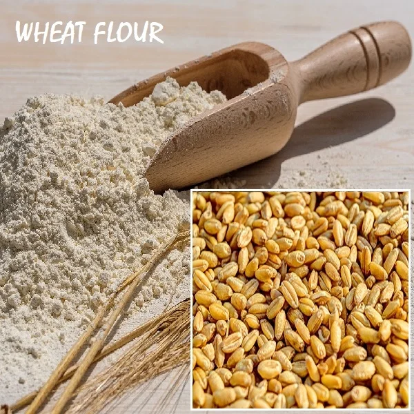 गेहूं मोटा आटा(बाटी - चूरमा) Mota Atta-1kg