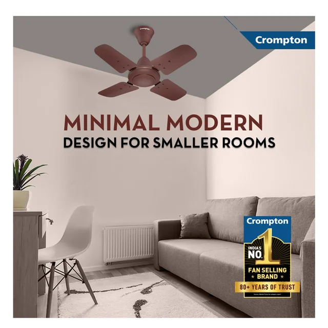 Crompton Brizair 600 MM (24 inch) 4 Blades Anti Rust Small Ceiling Fan (Brown) - Brown