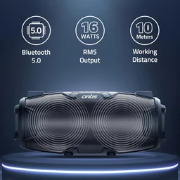 Artis BT36 Wireless Bluetooth Speaker with USB, FM, TF Card, AUX in, Wired Mic with Shoulder Strap (Black)