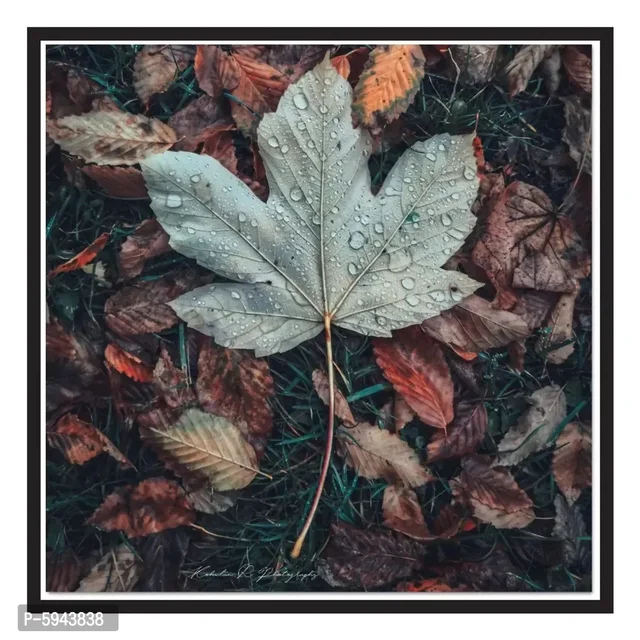 Beautiful Self Adhesive Paper Poster for Wall Deacute;cor (12x12 inches)