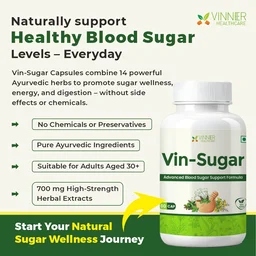 Vin-Sugar Capsules – Natural Support for Daily Sugar Wellness - 30-Day Pack
