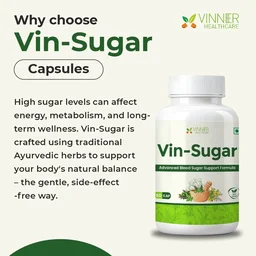 Vin-Sugar Capsules – Natural Support for Daily Sugar Wellness - 30-Day Pack