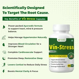 Vin-Stress Capsules – Ayurvedic Calm for Stress, Sleep & Mood Balance - 60-Day Pack