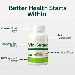 Vin-Sugar Capsules β Natural Support for Daily Sugar Wellness - 60-Day Pack