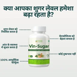 Vin-Sugar Capsules β Natural Support for Daily Sugar Wellness - 60-Day Pack