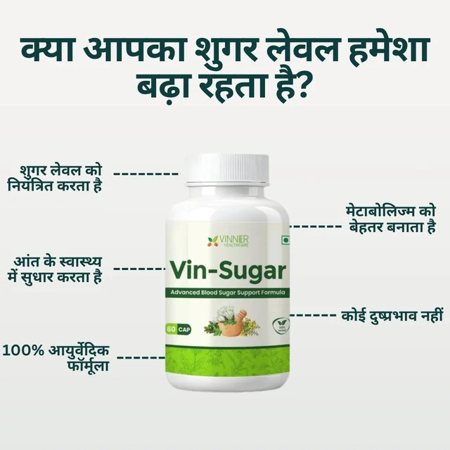 Vin-Sugar Capsules β Natural Support for Daily Sugar Wellness - 60-Day Pack