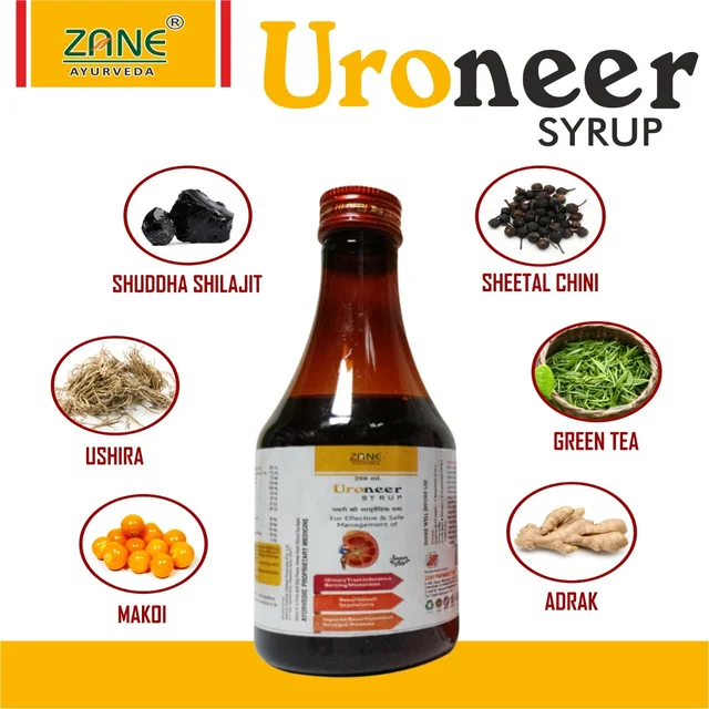 Uroneer syrup — Ayurvedic Powder for Dysuria, Burning Micturition & Kidney Stone Support | Natural UTI & Renal Care Churna