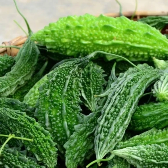 🟢 பாகற்காய் / Bitter Gourd 250g