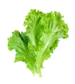 🔵 Lettuce ~300g