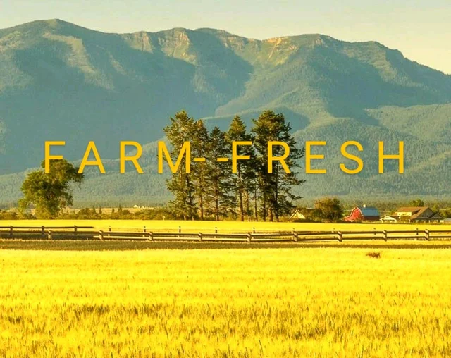 Farm Fresh Prime Kabuli Chola 500gm.