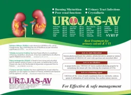 Nature vedic Nature Vedic Urojas - AV Syrup Ayurvedic Formula for Urinary Stones & Infections - 400 ml