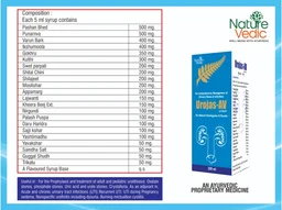Nature vedic Nature Vedic Urojas - AV Syrup Ayurvedic Formula for Urinary Stones & Infections - 400 ml