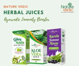 Nature Vedic Herbal Neem, Karela, Jamun Juice | Sugar & Diabetic Special for Control Sugar & Cholesterol Level in Blood - 500 ml
