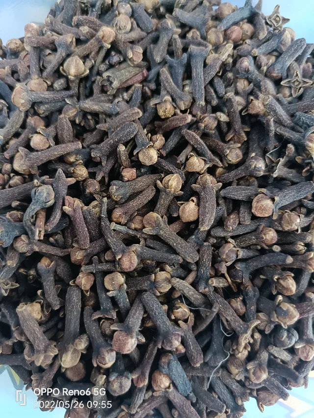 Long - 10g