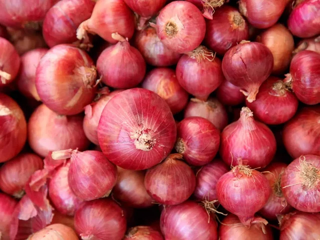 Onion