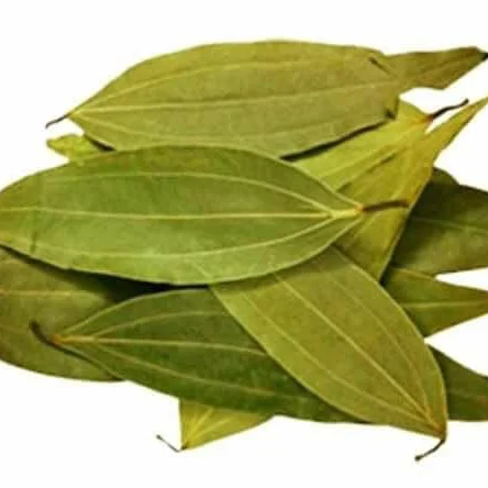 Tejpata  - 100g