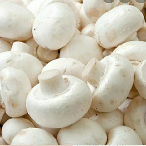 Button Mashroom  - 600gm