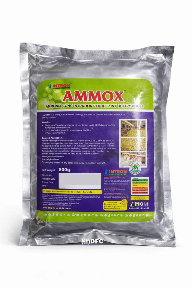 Intron Lifescience Pvt. Ltd. Ammox - 500 Gm