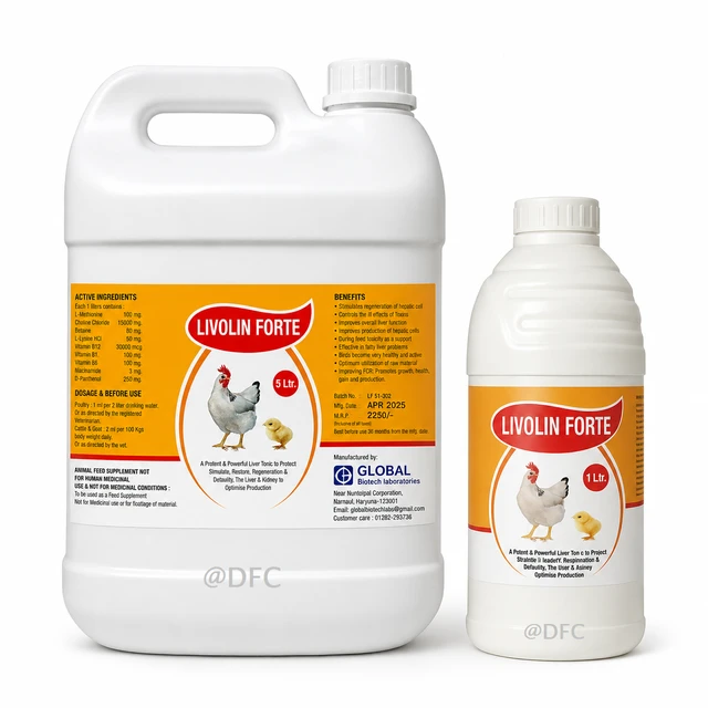 A Liver Tonic for liver & Kidney by Global Biotech Livolin Forte - 5 ltr