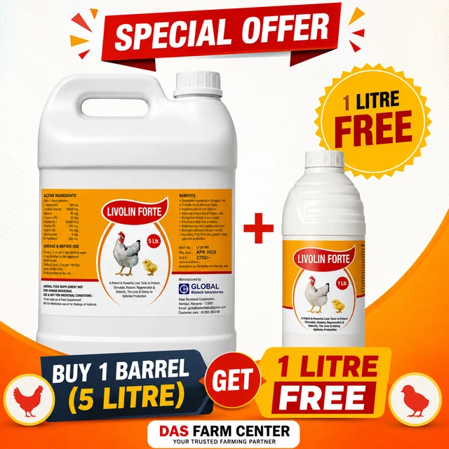 A Liver Tonic for liver & Kidney by Global Biotech Livolin Forte - 5 ltr