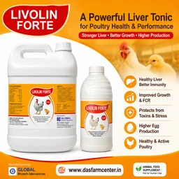 A Liver Tonic for liver & Kidney by Global Biotech Livolin Forte - 5 ltr