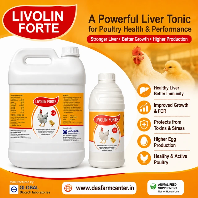 A Liver Tonic for liver & Kidney by Global Biotech Livolin Forte - 5 ltr