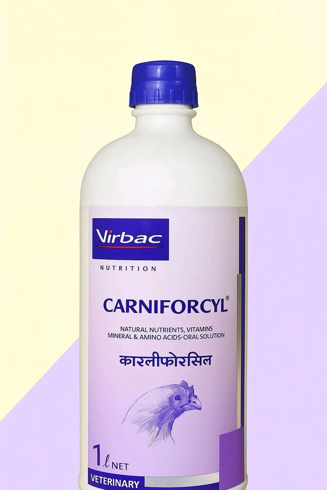 Natural Nutrients, Vitamins, Mineral & Amino Acid Oral Solution by Virbac CARNIFORCYL® - 1 Ltr
