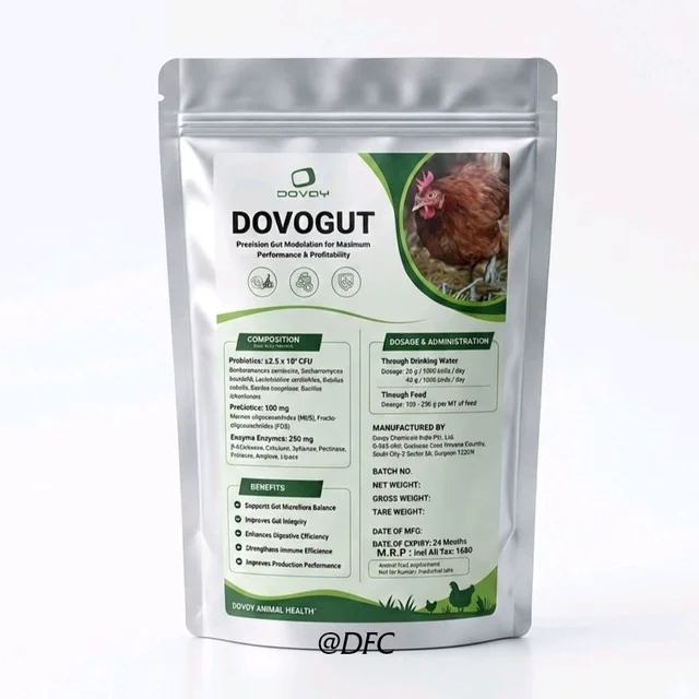 Dovoy Dovogut