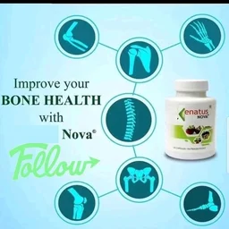 Renatus Wellness Renatus Nova Capsules | Nutraceutical Supplement| 120 Capsule | ORIGINAL - 120 Capsules, 24 Months