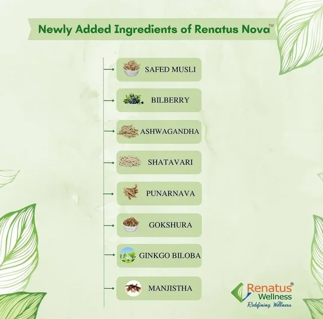 Renatus Wellness Renatus Nova Capsules | Nutraceutical Supplement| 120 Capsule | ORIGINAL - 120 Capsules, 24 Months