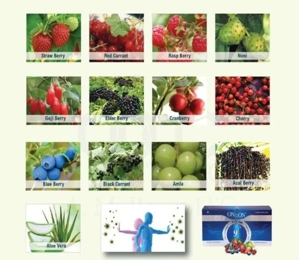 Elements On & On 9E5 Drink Juice Concentrate - Natural Antioxidant Juice - 30 Sachets - 990 Ml, 12 Months