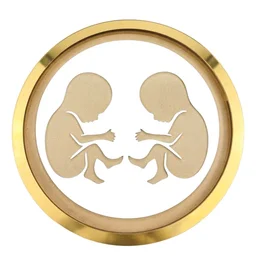 Mdf Twin Baby In Womb Frame - 14 inch