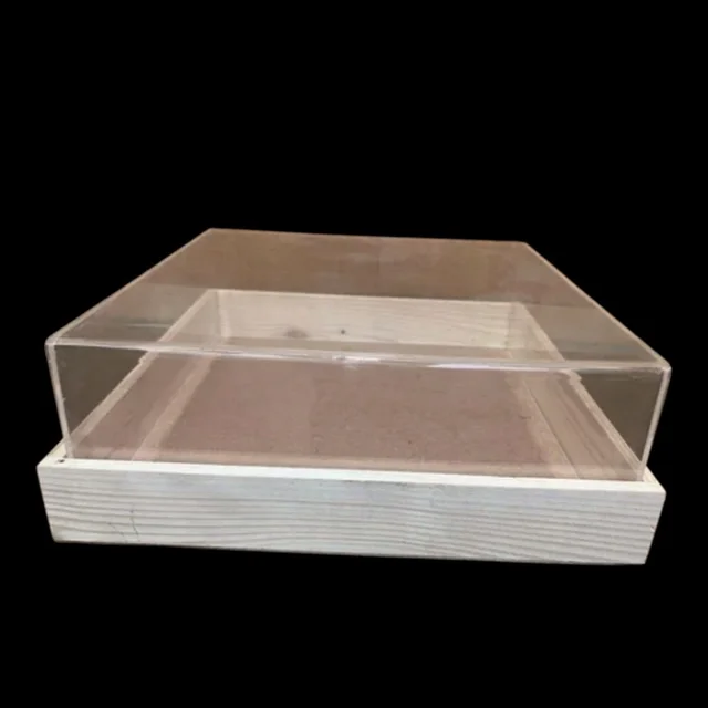 Pinewood Acrylic Wedding Invitation Card Display Box - 10/10/4"