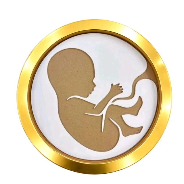 Mdf Baby In Womb Resin Preservation Frame / Pregnancy Announcement Frame/ Baby Birth Details Preservation Frame - 10 inch