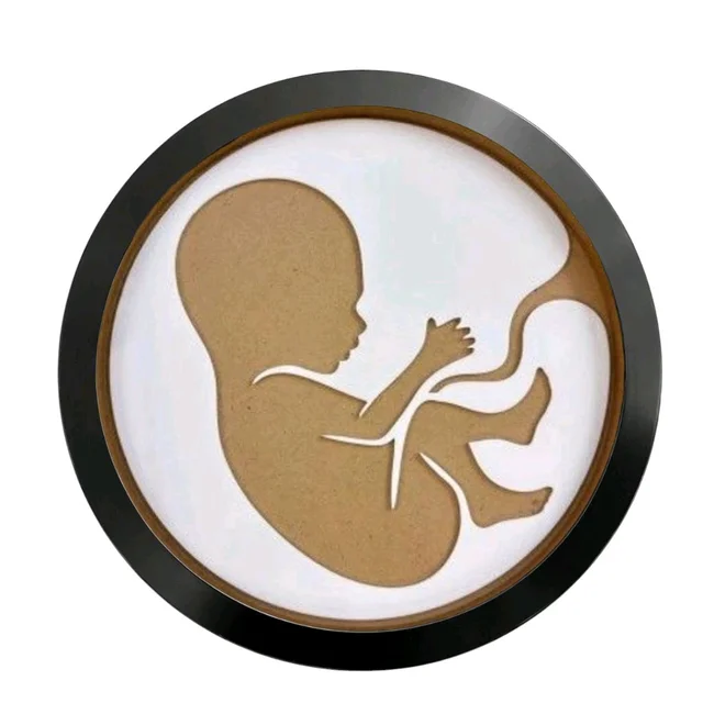 Mdf Baby In Womb Resin Preservation Frame / Pregnancy Announcement Frame/ Baby Birth Details Preservation Frame - 15"