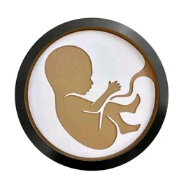 Mdf Baby In Womb Resin Preservation Frame / Pregnancy Announcement Frame/ Baby Birth Details Preservation Frame - 20"