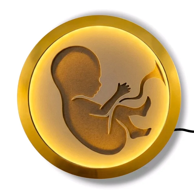 LED Baby In Womb Resin Preservation Frame - 16"